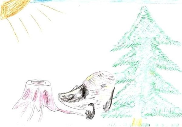 Барсук барсучий нос Паустовского