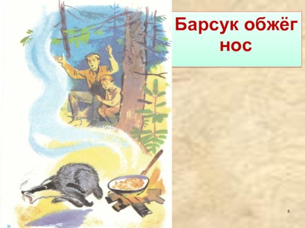 Иллюстрации к рассказу барсучий нос Паустовский