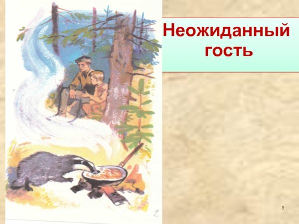 Барсук сбоку