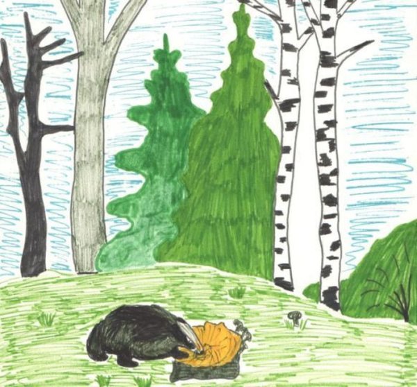 Иллюстрации к рассказу барсучий нос Паустовский