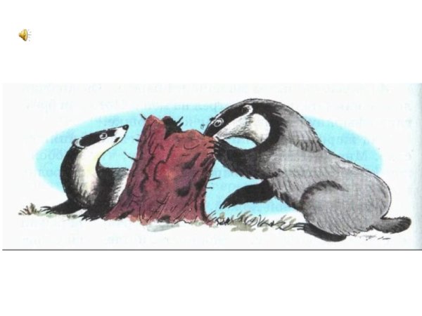 Паустовский барсучий нос раскраска