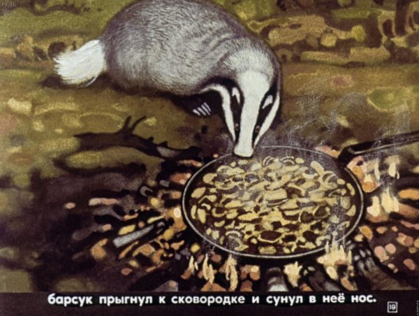 Как нарисовать барсука