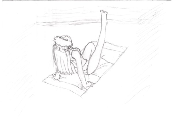 Настик картинки для срисовки