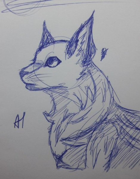Рисунки котов воителей карандашом