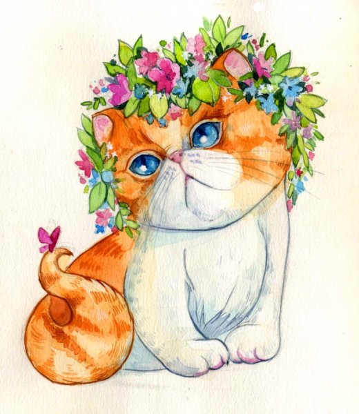 Котик рисунок