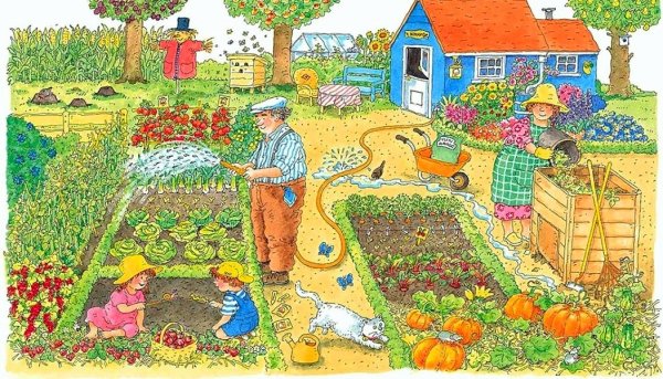 Сюжетная картина огород