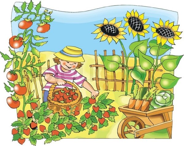 Огород для детей