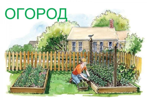 Сад мультяшный