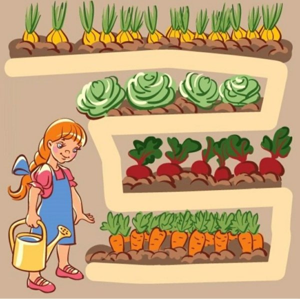Грядка с овощами для детей
