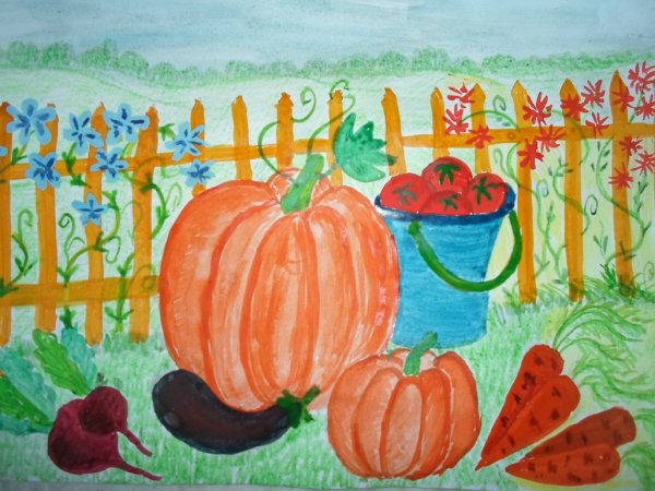 Огород на белом фоне