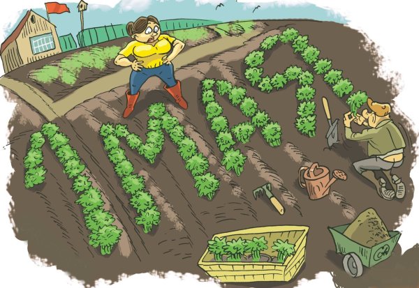 Сбор урожая для детей