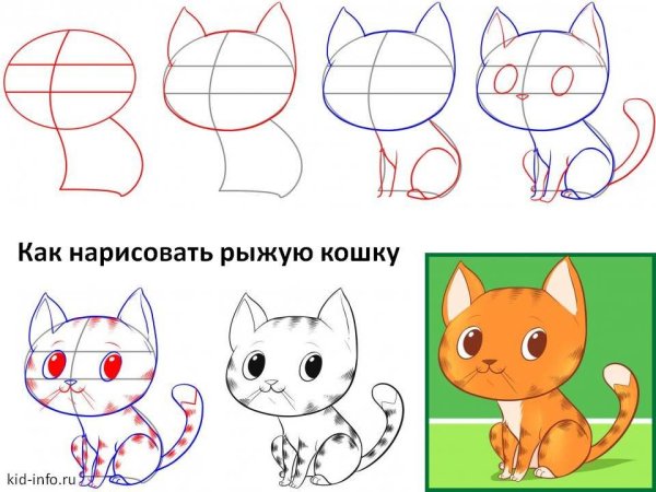 Поэтапное рисование кошки для детей
