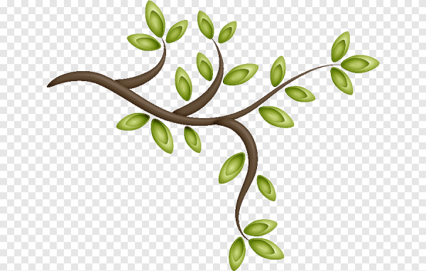 Нарисовать ветку