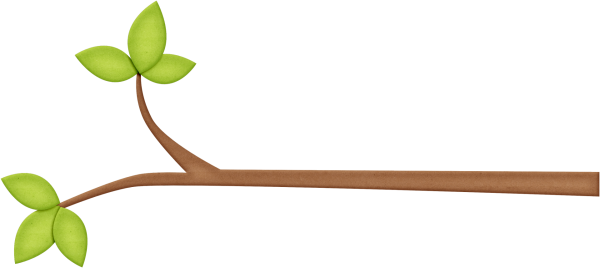 Ветка для детей