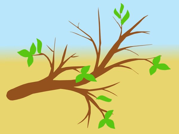 Ветка дерева для детей