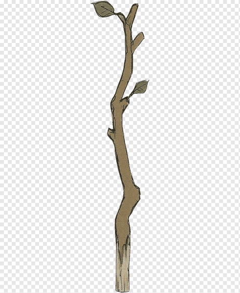 Веточка дерева