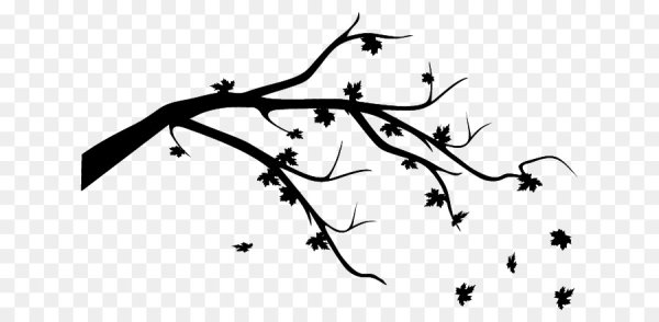 Ветка силуэт