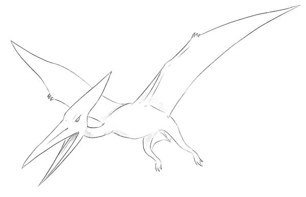 Миссис птеродактиль