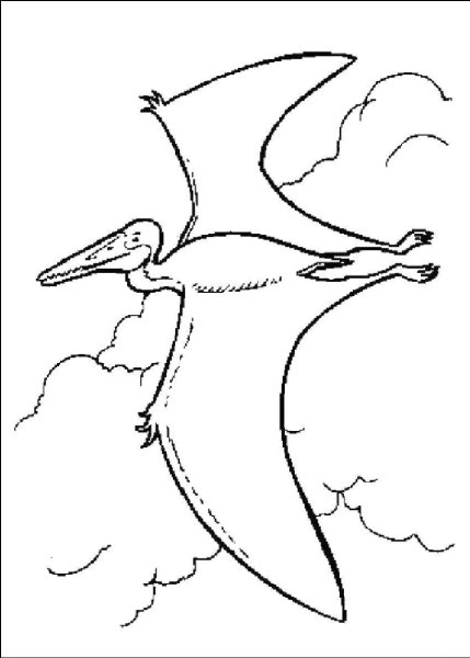 Птеранодон динозавр раскраска