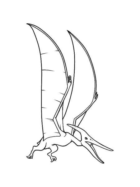 Птеранодон для срисовки