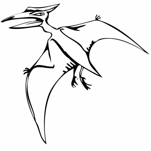 Птеранодон динозавр раскраска