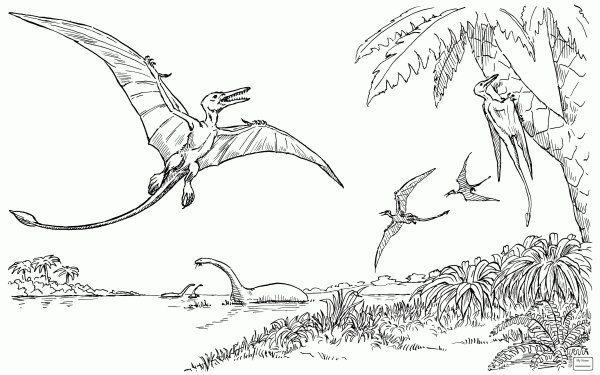 Птеранодон динозавр раскраска