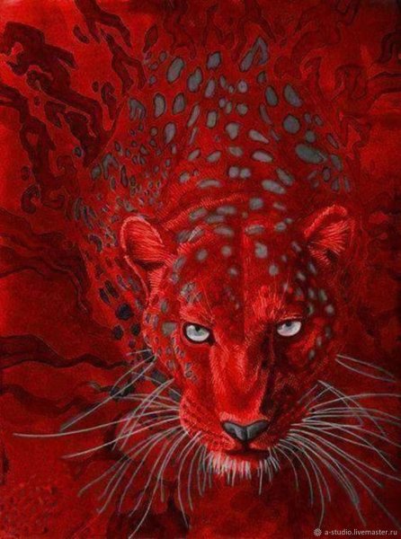 Иллюстрации в красных тонах