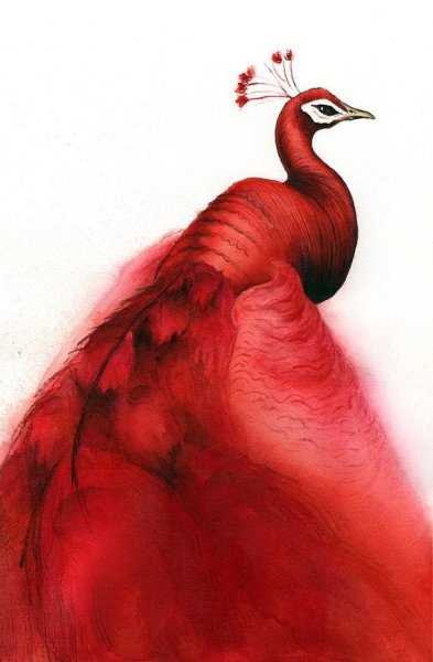 Роза рисунок