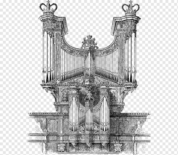 Нарисовать орган