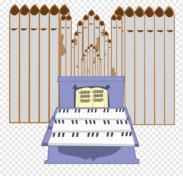 Нарисовать орган