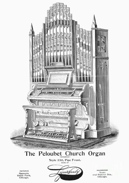 Нарисовать орган