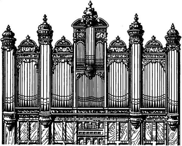 Орган раскраска