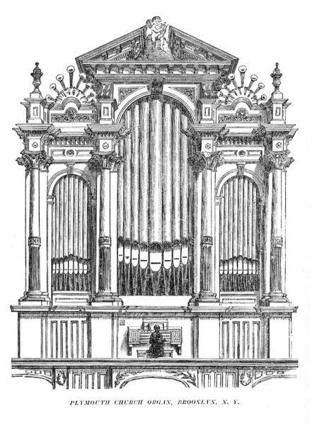 Орган раскраска