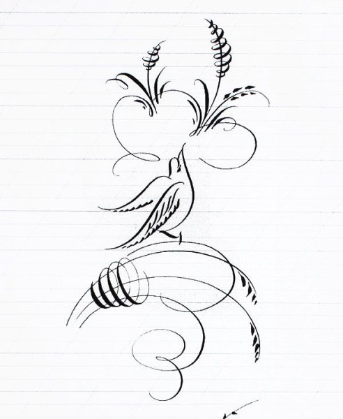 Каллиграфические рисунки