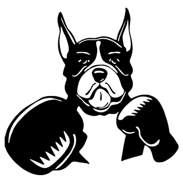 Боксёр собака