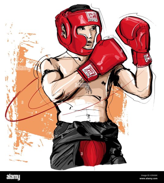 Боксер иллюстрация