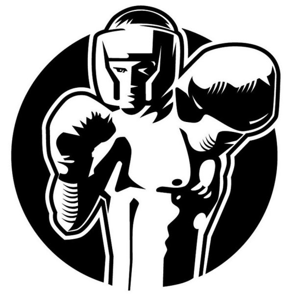 Бокс эмблема