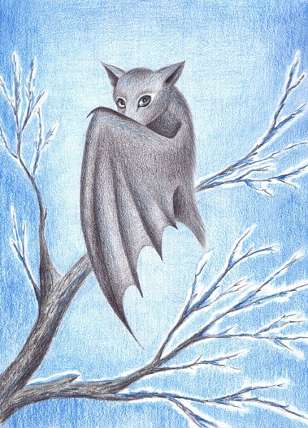 Холодный рисунок