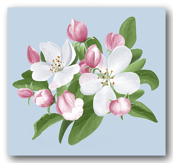 Ветка цветущей яблони для детей