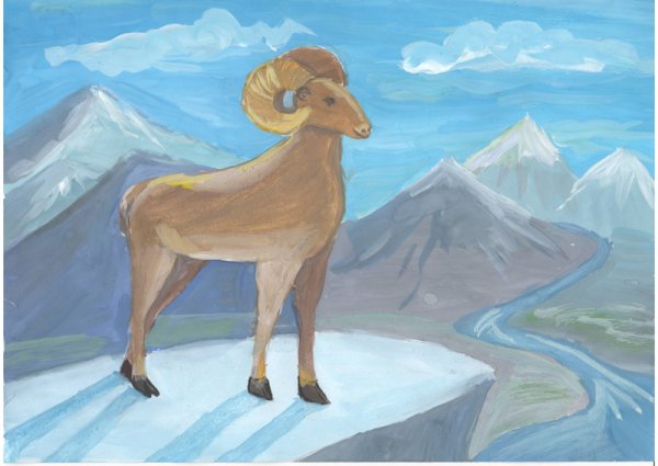 Бун Архар Горно Алтайск рисунок