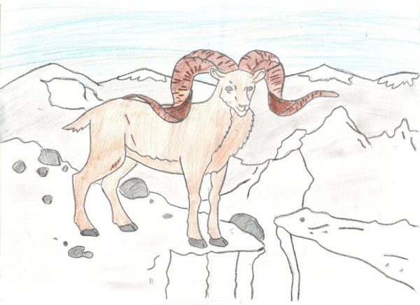 Иллюстрация к стихотворению Хетагурова Джук тур