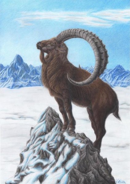 Иллюстрация к стихотворению к л Хетагурова Джук-тур