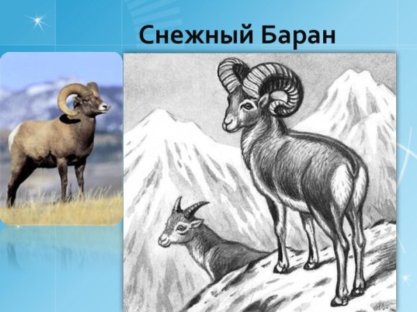 Иллюстрация к стихотворению Хетагурова бестрепетно гордо