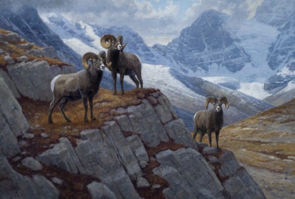 Джук-тур Коста Хетагуров