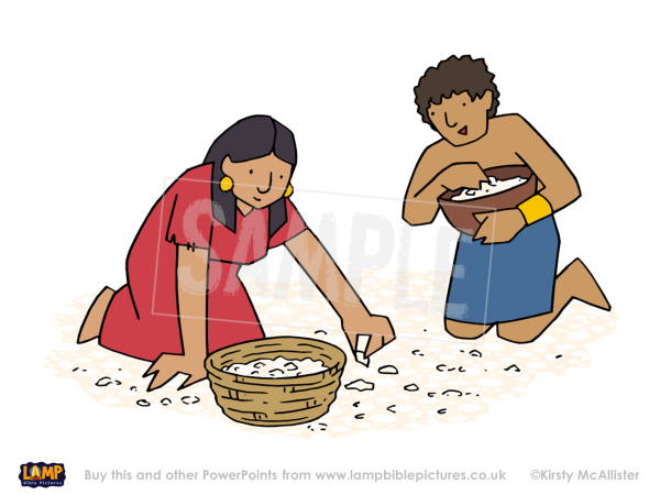 Манна Небесная