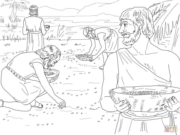 Манна Небесная рисунок легкий