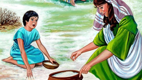 Манна Небесная раскраска