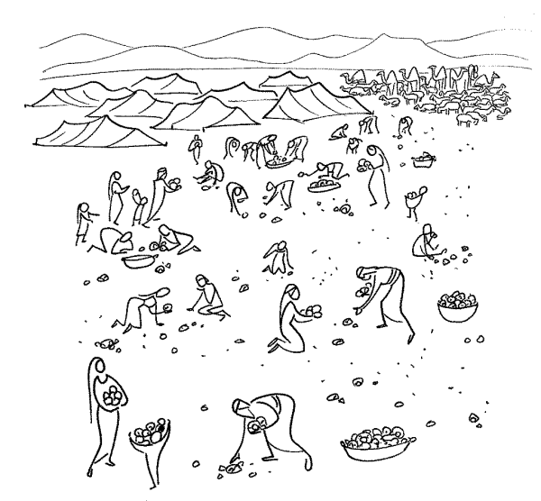 Манна Небесная раскраска