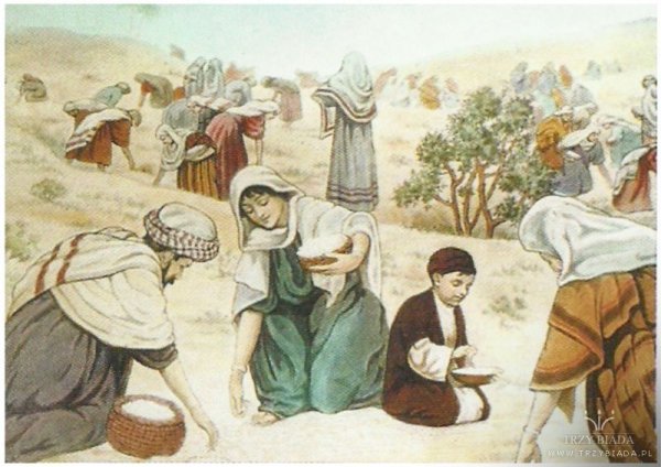 Моисей и Манна Небесная