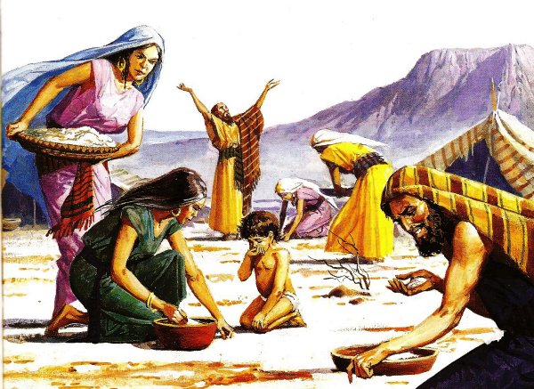 Манна Небесная